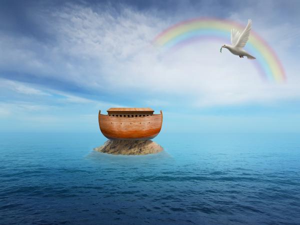 כך תעברו את המבּול בשלום