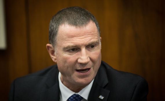 מרצ מתכננת תרגיל לאדלשטיין: "שלא יטיף לנו"