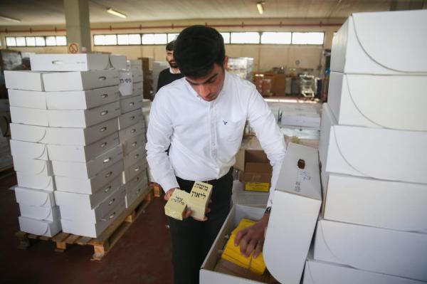 גלריה • הכנות קדחתניות לסיבוב השני בירושלים