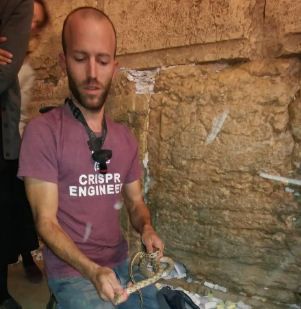 צפו: אורח לא צפוי בעזרת הנשים בכותל המערבי