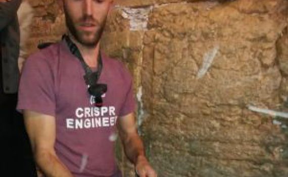 צפו: אורח לא צפוי בעזרת הנשים בכותל המערבי