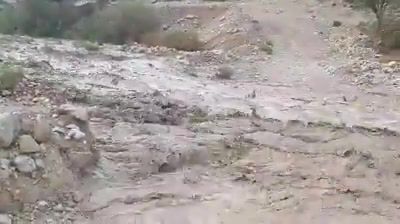 מרהיב ומסוכן• צפו: תוך רגע -נחל ערוגות עולה על גדותיו