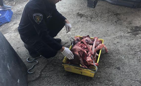 רגע לפני שיצא למסעדות: בשר בשלבי רקבון אותר בי-ם