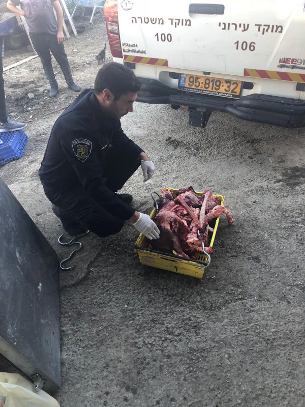 רגע לפני שיצא למסעדות: בשר בשלבי רקבון אותר בי-ם