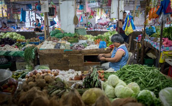 שו"ת: מה נעשה אם לא יהיה מספיק אוכל בעולם?
