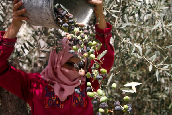 רבנים למען זכויות אדם: תרמו וקבלו סבון פלסטיני