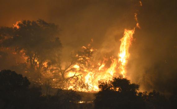 חשש בארה"ב: שריפות הענק יגיעו ללוס אנג'לס