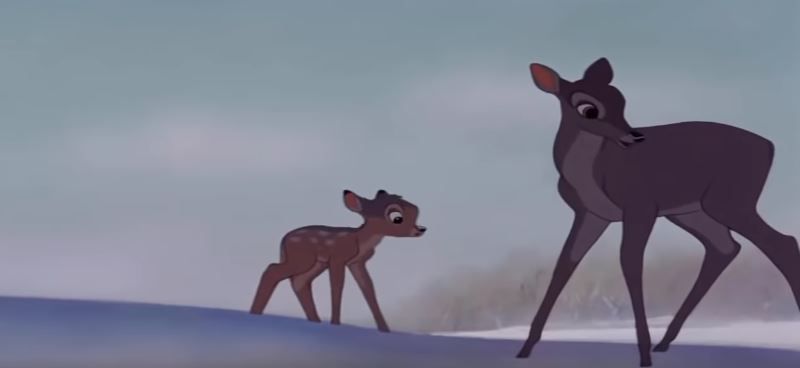 ארה"ב: בית המשפט גזר עונש יצירתי על צייד איילים