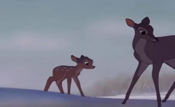 ארה"ב: בית המשפט גזר עונש יצירתי על צייד איילים