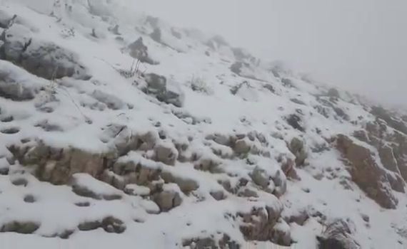 בוקר חורפי: עלייה במפלס הכנרת והחרמון נצבע בלבן