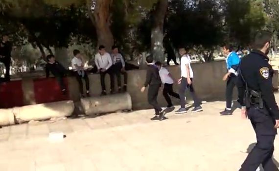 חרף הוראת בג"ץ: ערבים שוב שיחקו בכדור בהר הבית