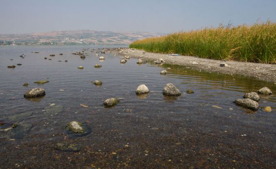 שבת סוערת: הכנרת רשמה עלייה נאה במפלס