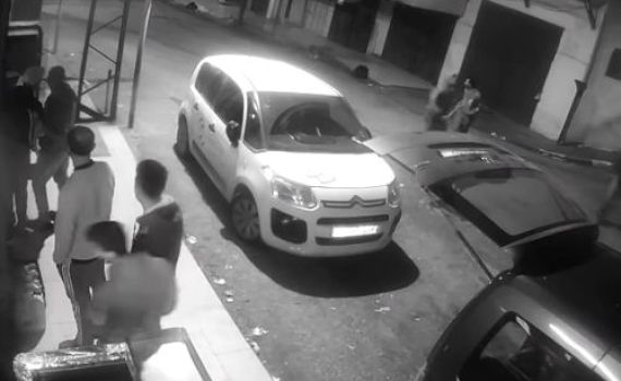 'בצלם': "חיילים ירו בלוקה בשכלו ללא סיבה". צפו