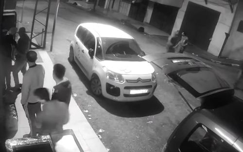 'בצלם': "חיילים ירו בלוקה בשכלו ללא סיבה". צפו