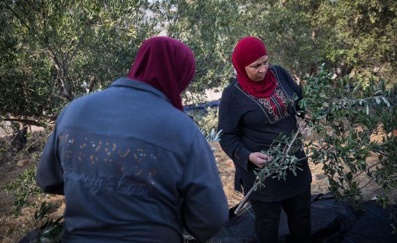 המנהל האזרחי נכשל בעצירת 'הכיבוש החקלאי' ביו"ש