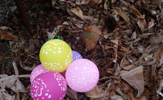 אחרי שבועות של שקט: הטרור חזר לעוטף עזה