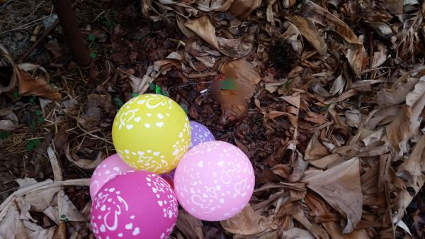 אחרי שבועות של שקט: הטרור חזר לעוטף עזה