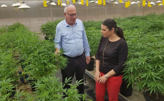 שר החקלאות אורי אריאל: ישראל היא מעצמת קנאביס