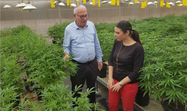 שר החקלאות אורי אריאל: ישראל היא מעצמת קנאביס