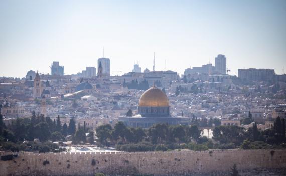 הר הבית לא רשום בטאבו, "פגיעה בסדר הציבורי"
