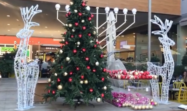 פרובוקציה: עץ אשוח בלב אשדוד מעורר סערה