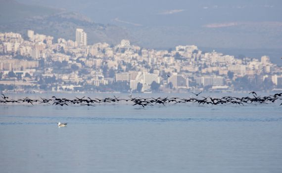 דאגה: למרות הגשמים, מפלס הכנרת בקושי עולה