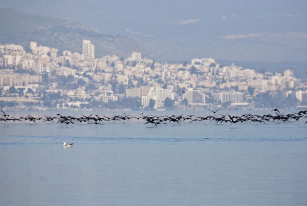 דאגה: למרות הגשמים, מפלס הכנרת בקושי עולה
