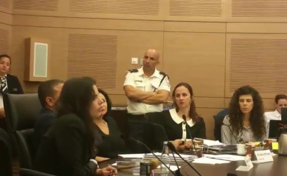 התרגיל של כבל: שקד יצאה – זילבר קיבלה זכות דיבור