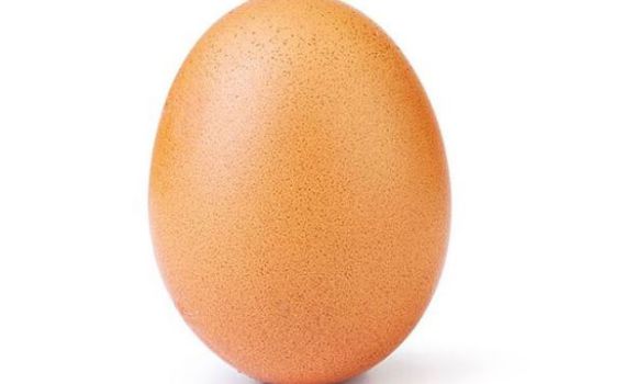 מטורף: זו הביצה שמשגעת את אינסטגרם