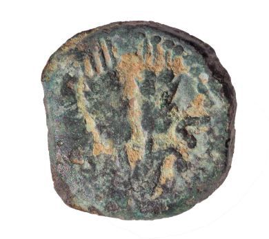 במהלך טיול: תלמיד מצא מטבע נדיר בשומרון