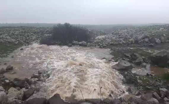 עוד עלייה נאה: מפלס הכנרת בדרך לקו האדום