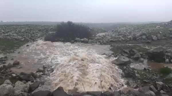 עוד עלייה נאה: מפלס הכנרת בדרך לקו האדום