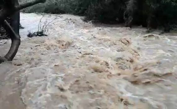 גשם של ברכה: מפלס הכנרת רושם זינוק אדיר