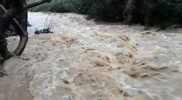 גשם של ברכה: מפלס הכנרת רושם זינוק אדיר