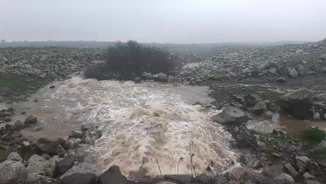 עוד עלייה אדירה: מפלס הכנרת מתקרב לקו האדום