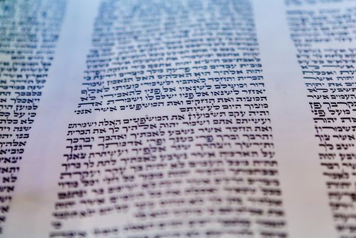 תורה ששרה בשני קולות/ הרב אלקנה שרלו