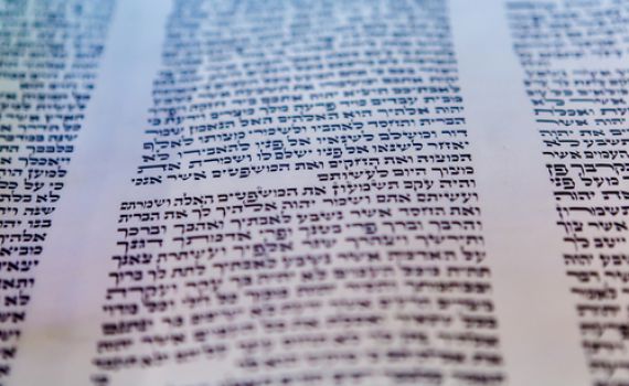 תורה ששרה בשני קולות/ הרב אלקנה שרלו