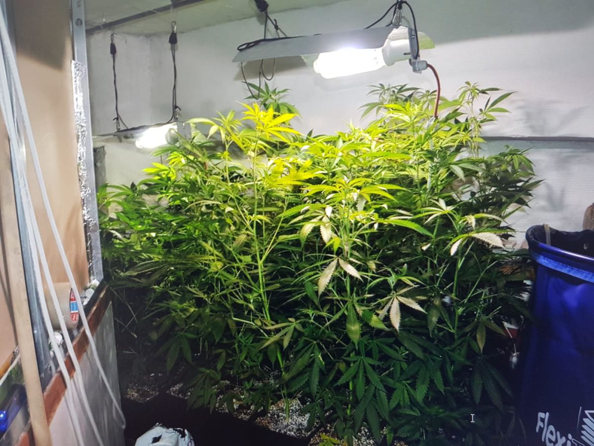 מעבדת סמים בליבה של שכונה חרדית בירושלים