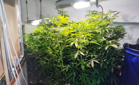 מעבדת סמים בליבה של שכונה חרדית בירושלים