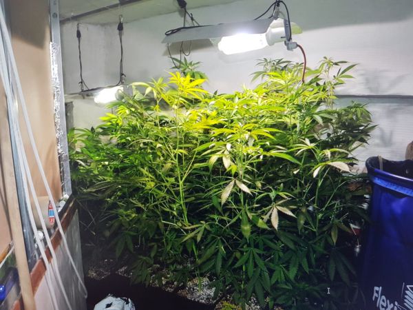 מעבדת סמים בליבה של שכונה חרדית בירושלים