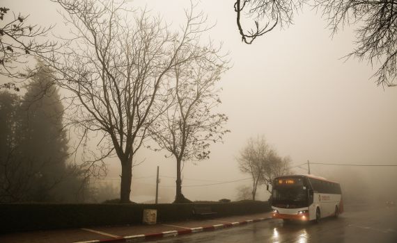 סערה ברחבי הארץ: צפי לשלג שיגיע מעל ל- 10 ס"מ