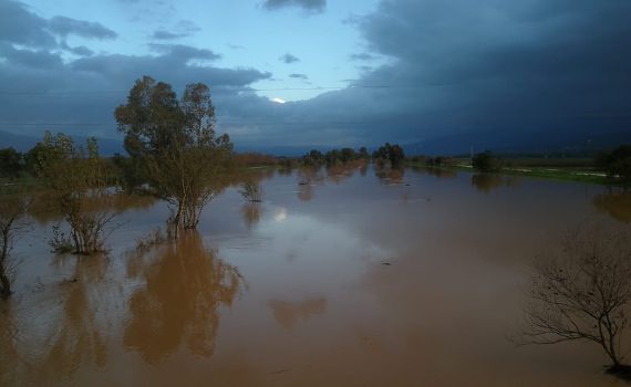 גשמי הברכה: זינוק נוסף במפלס הכנרת