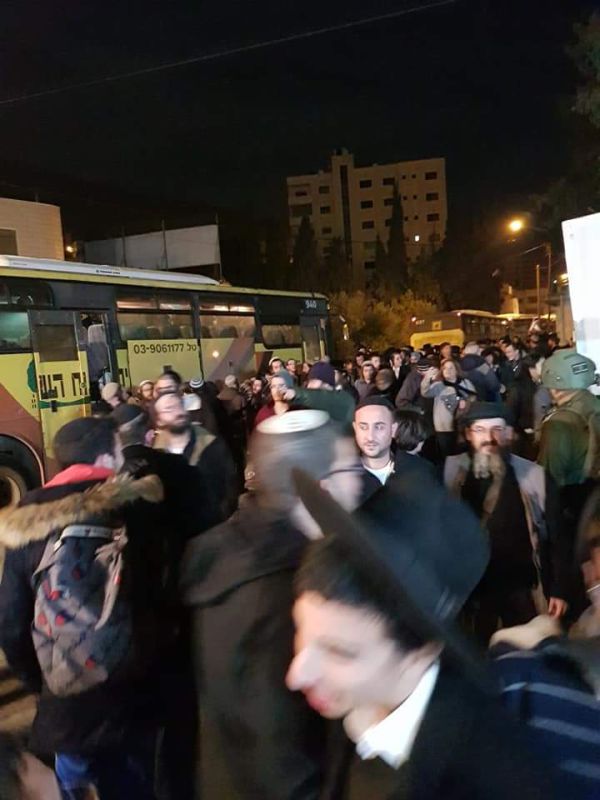 צפו: אלפים בטיש לכבוד ט"ו בשבט בקבר יוסף