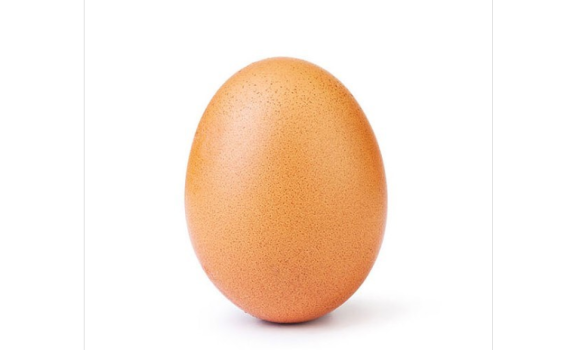 לאחר ששברה שיא עולמי: הביצה הפופולרית נחשפת