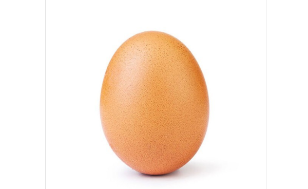 לאחר ששברה שיא עולמי: הביצה הפופולרית נחשפת