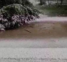 הסערה השתלמה: שלג ראשון החל לרדת. צפו