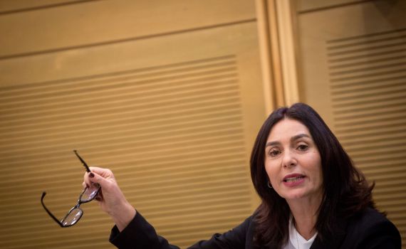 רגב: "טיבי וחבורתו סוסים טרויאנים, לא ראויים להיות בכנסת"