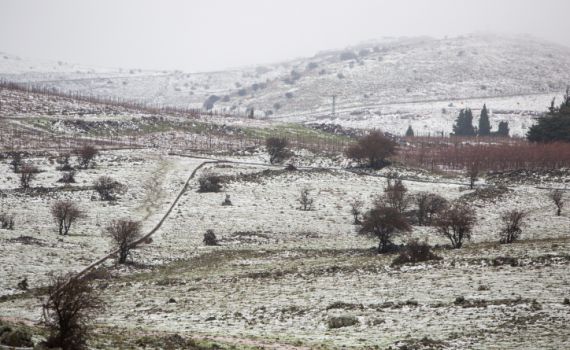 החורף חוזר: שלג, גשם, וסופות רעמים