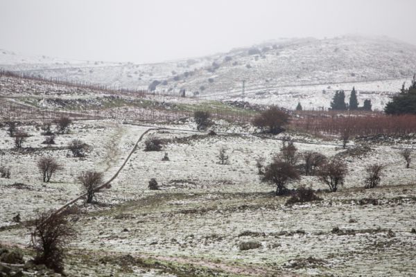 החורף חוזר: שלג, גשם, וסופות רעמים