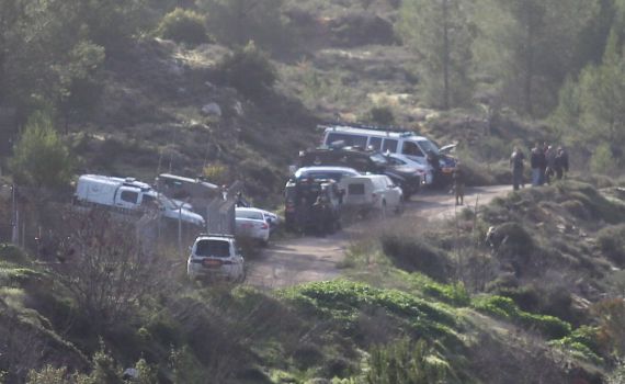 הצעירה שנרצחה באכזריות: בת שירות לאומי